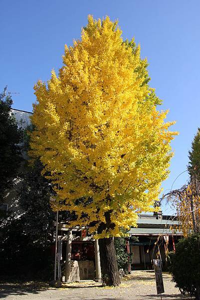 161116-4 辨財天長建寺 (12)