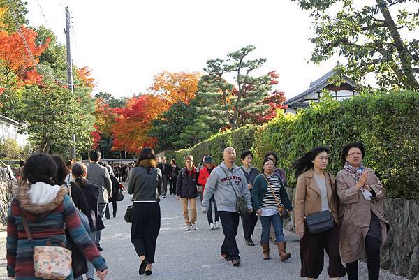 161116-5 東福寺 (1)