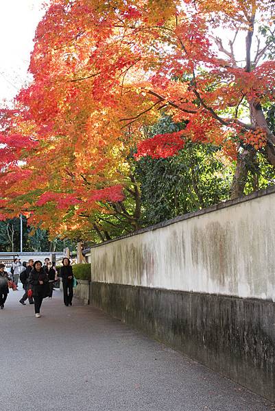 161116-5 東福寺 (3)