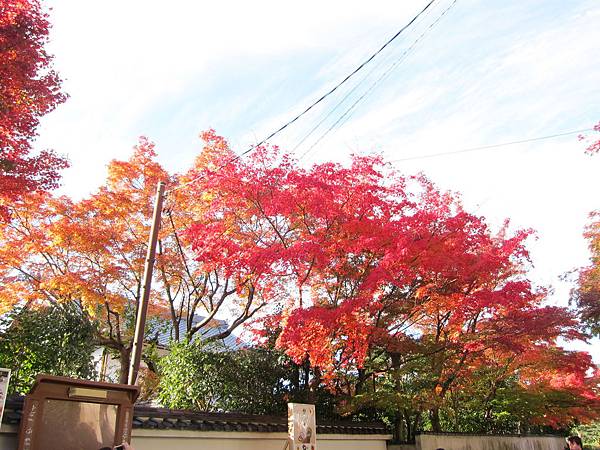 161116-5 東福寺 (4)