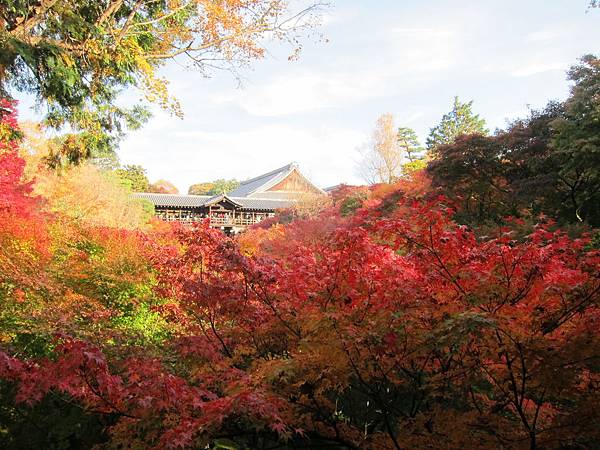 161116-5 東福寺 (5)