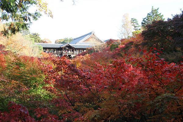 161116-5 東福寺 (6)