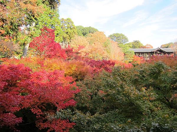 161116-5 東福寺 (7)