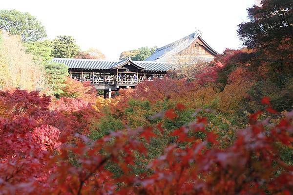 161116-5 東福寺 (9)