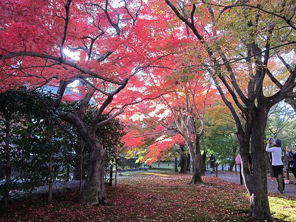 161116-5 東福寺 (16)