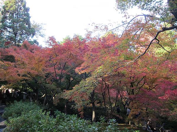 161116-5 東福寺 (21)