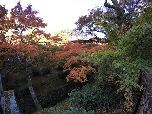 161116-5 東福寺 (24)