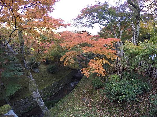 161116-5 東福寺 (25)