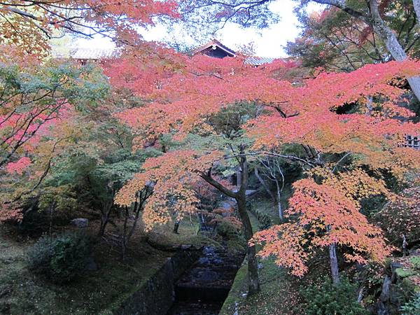 161116-5 東福寺 (26)