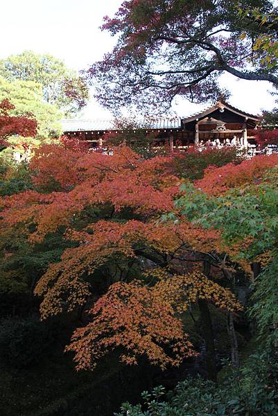 161116-5 東福寺 (31)