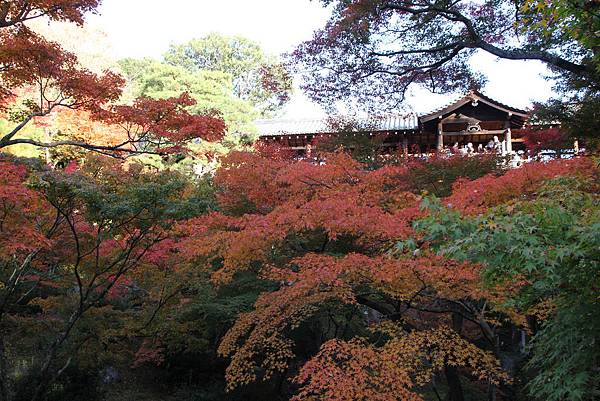 161116-5 東福寺 (32)