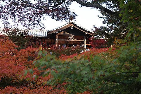 161116-5 東福寺 (33)