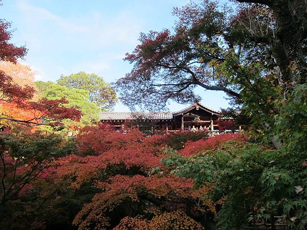 161116-5 東福寺 (34)