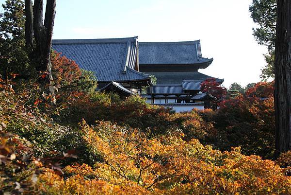 161116-5 東福寺 (52)