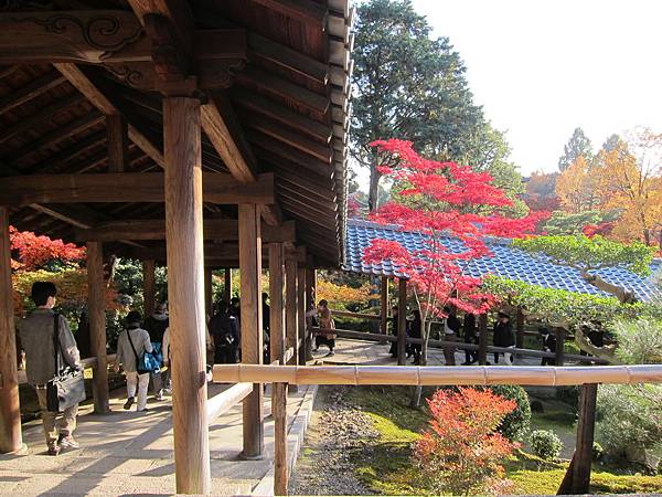 161116-5 東福寺 (54)