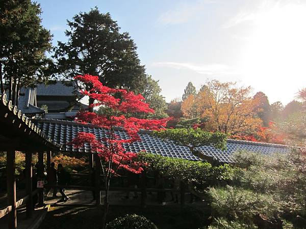 161116-5 東福寺 (55)