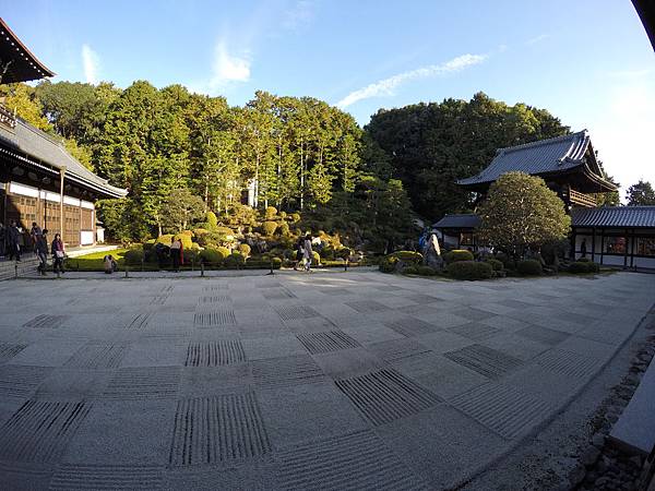 161116-5 東福寺 (56)