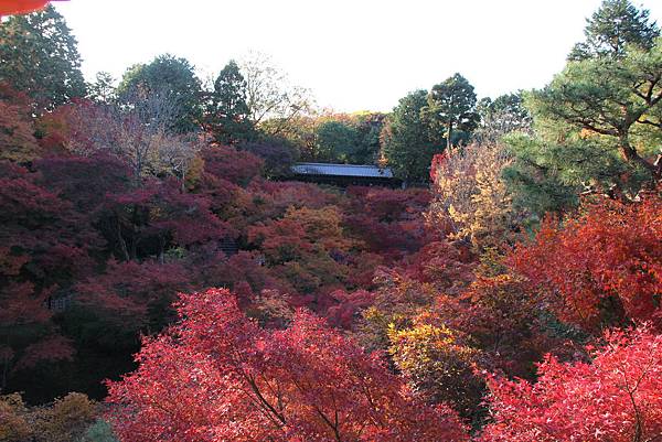 161116-5 東福寺 (64)