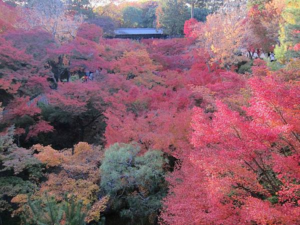 161116-5 東福寺 (65)