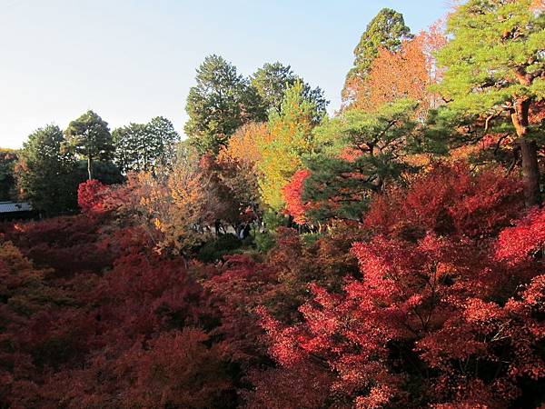 161116-5 東福寺 (69)