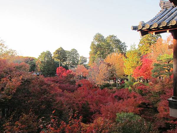 161116-5 東福寺 (70)