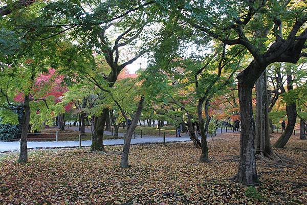 161116-5 東福寺 (73)