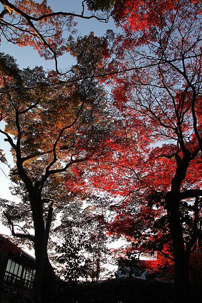 161116-5 東福寺 (79)