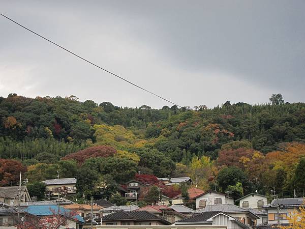 161120-2 JR山崎站 (2)