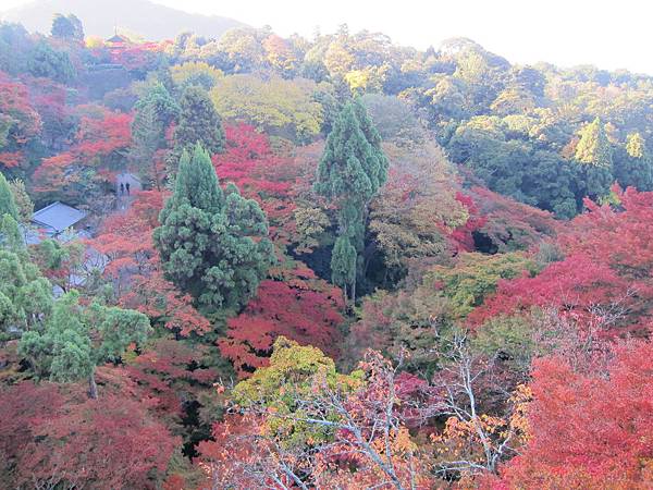 161118-1 清水寺 (10)