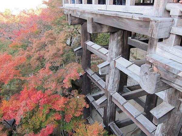 161118-1 清水寺 (11)