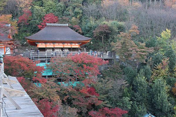 161118-1 清水寺 (12)