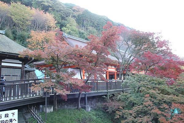 161118-1 清水寺 (13)