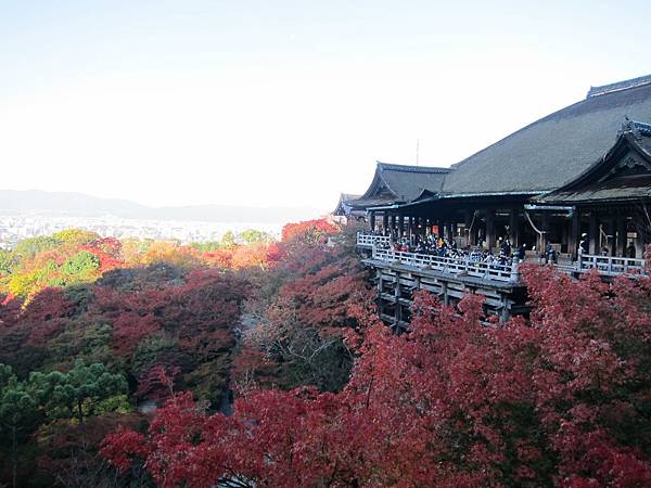 161118-1 清水寺 (16)