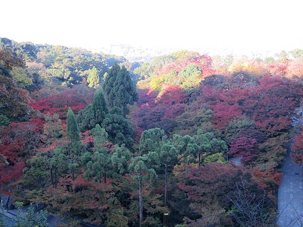 161118-1 清水寺 (19)