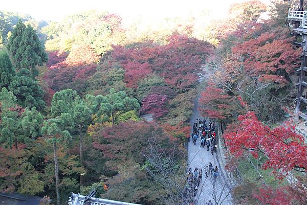 161118-1 清水寺 (23)