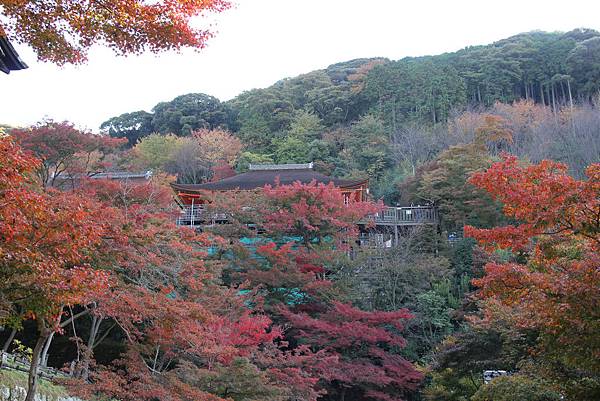 161118-1 清水寺 (42)