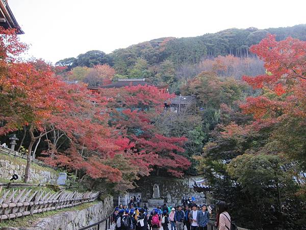 161118-1 清水寺 (43)