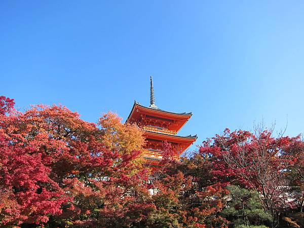 161118-1 清水寺 (46)