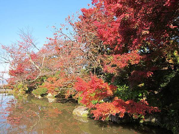 161118-1 清水寺 (49)