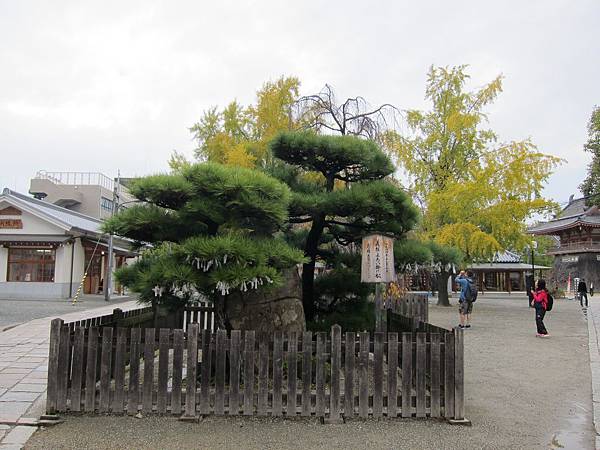 161119-3 四天王寺 (7)