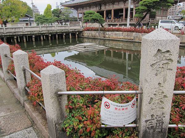 161119-3 四天王寺 (35)