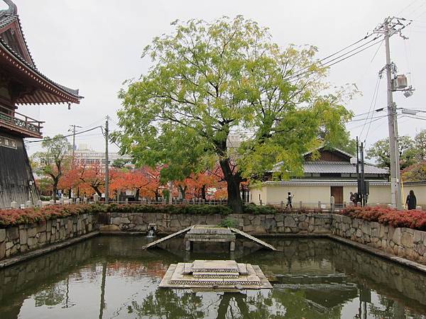 161119-3 四天王寺 (41)