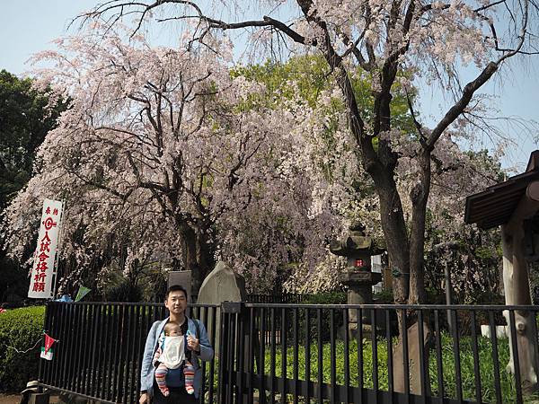 180403-1 上野恩賜公園 (7).JPG