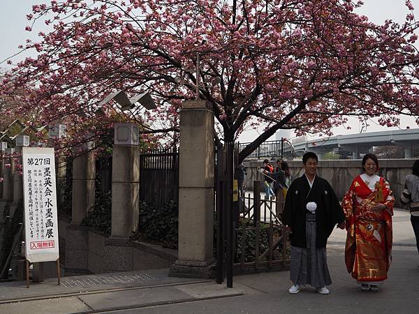 180403-2 淺草隅田公園 (8).JPG