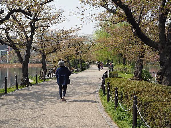 180404-1 上野恩賜公園 (13).JPG