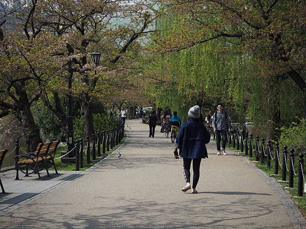 180404-1 上野恩賜公園 (14).JPG