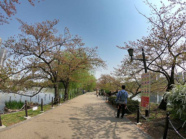 180404-1 上野恩賜公園 (19).JPG