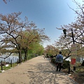 180404-1 上野恩賜公園 (19).JPG