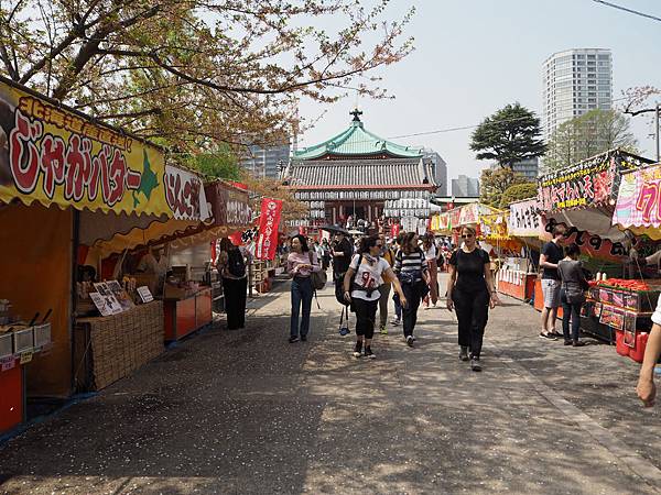 180404-1 上野恩賜公園 (43).JPG