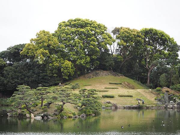 180405-4 清澄庭園 (8).JPG